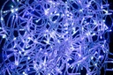 12x 300L Blu-Bianco 3Mm Filo Tr Ip44