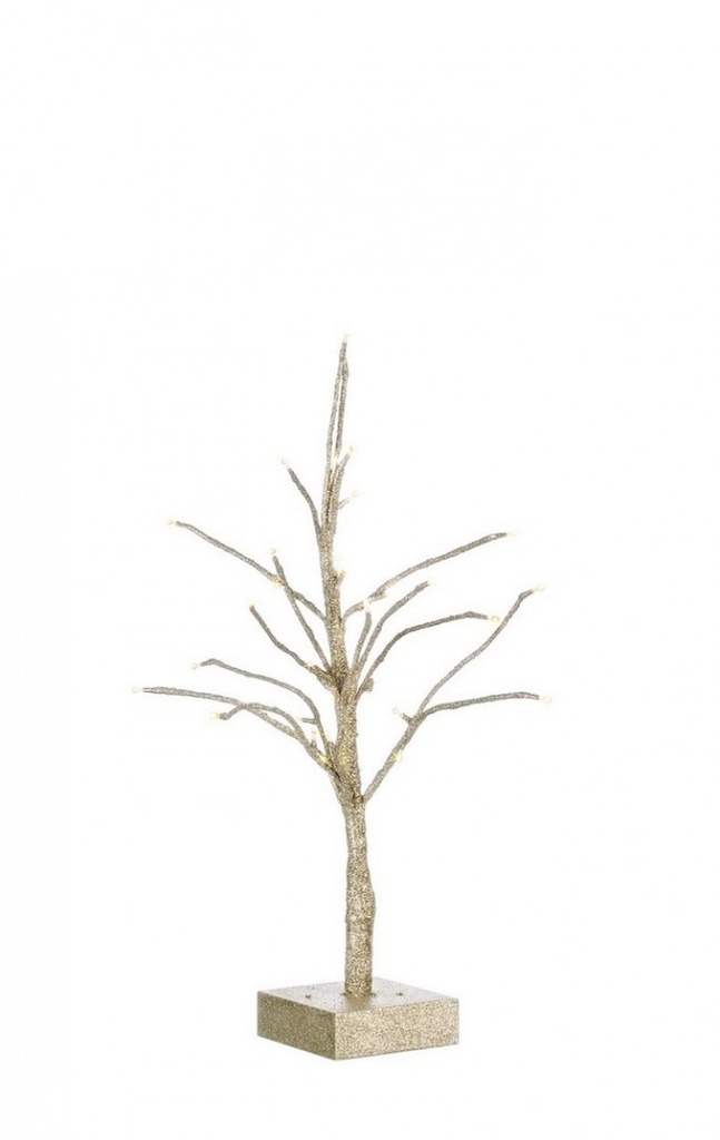 2x Albero Glad Champagne H60