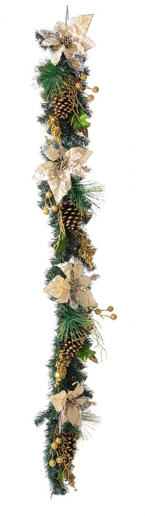 4x Boa Kyle Poinsettia Champagne H180