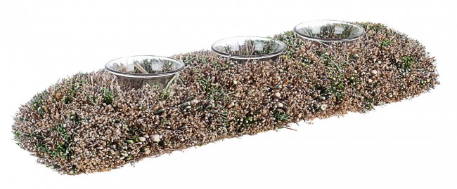 4x P.Candela 3P Wild Rett