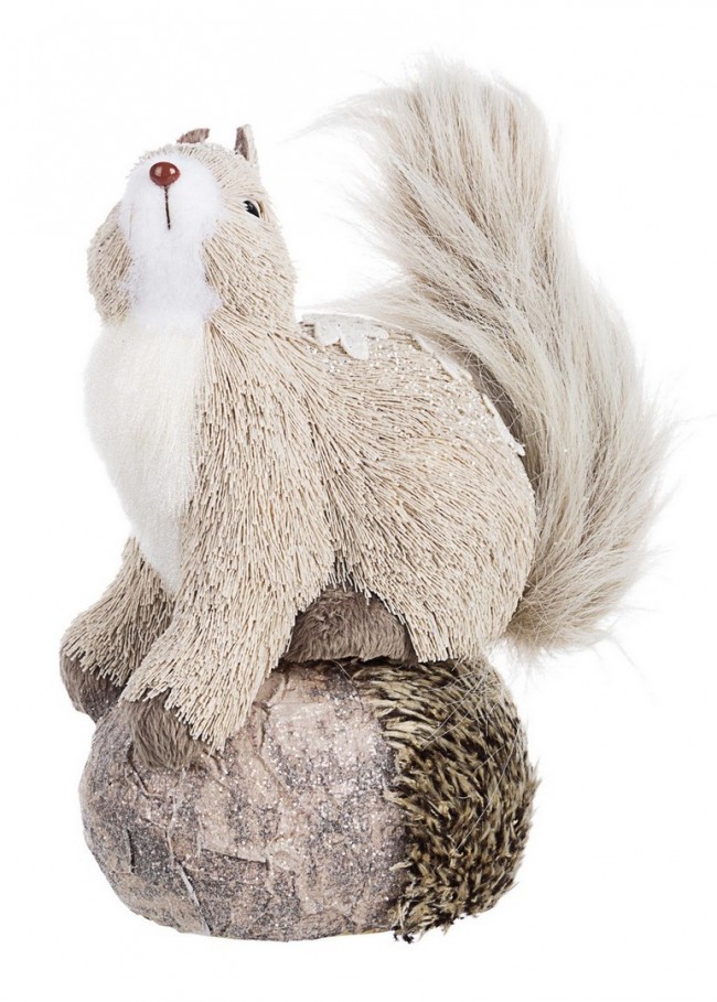 4x Scoiattolo Wintery C