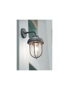 Applique da Ingresso Antracite Lanterna Vetro Trio Lighting