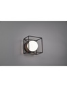 Applique-Plafoniera Gabbia 1xG9 Nero Opaco 14x14 cm Trio Lighting