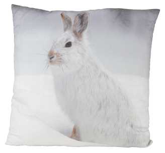 Cuscino Lepre Bianca - Dimensioni 50 x 50 cm