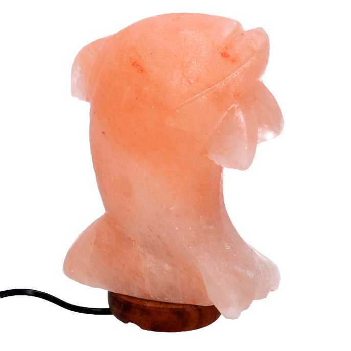 Lampada in sale con base in legno a forma di delfino - 16x7x23 cm