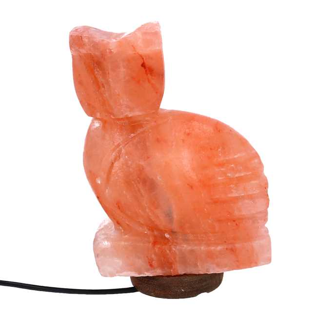 Lampada in sale con base di legno gufo, attacco cm 16x7h23