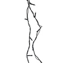 Luce filo verde con 80 led 5mm bianco caldo, alimentazione fissa, dimensioni cm0,5xh750x1