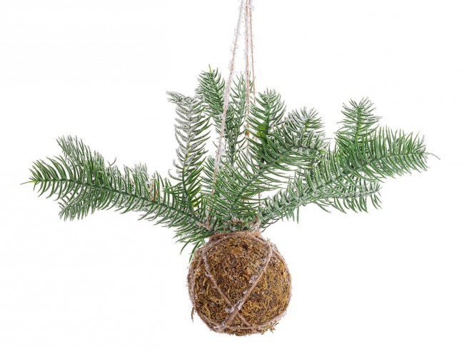 6x Decorazione Sfera Kokedama C - Samnite