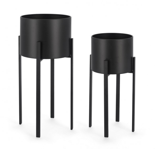 Set2 P.Fiore Ester To Nero - Samnite