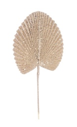 [S-B0939522] 12x Foglia Ventaglio Champagne H52Cm