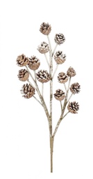 [S-B0170119] 12x Ramo Hartley Pigne X14F Innevato H51