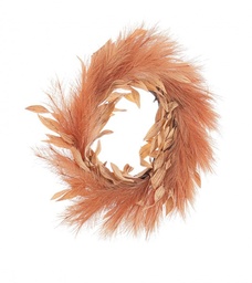 [S-B0939422] 2x Corona Infinity Salmone D45