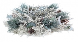 [S-B0932438] 2x P.Candela 1P Nature To