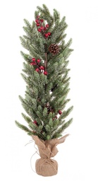 [S-B0938841] 3x Pino Oliver Bacche Rosso H70Cm