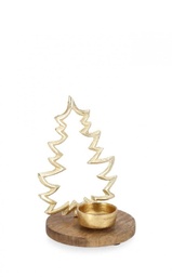 [S-B0972083] 4x P.Candela 1P Darcy Pino Nat