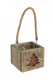 [S-B0916282] 5x P.Candela Mountain Pino