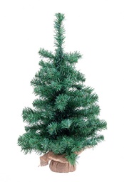 [S-B0939648] 6x Albero Innsbruck H60