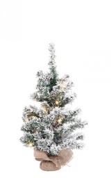 [S-B0939652] 6x Albero Innsbruck Innevato H60 C