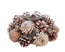 [S-B0931028] 6x P.Candela 1P Frozen To