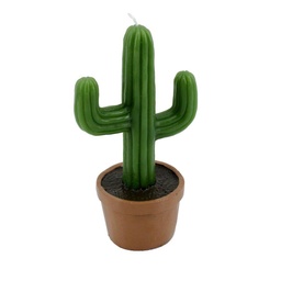 [S-V5506180000] Candela Cactus con Vaso 11,2x7,7x19,6 cm