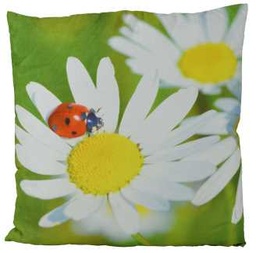 [S-V9173970000] Cuscino Margherite e Coccinella - 50 x 50 cm