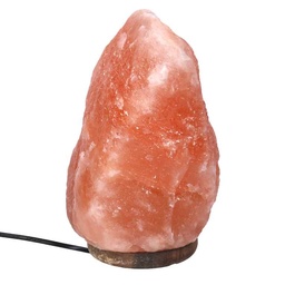 [S-V6901120000] Lampada di sale con base in legno da 6-9kg e attacco cmø20h25