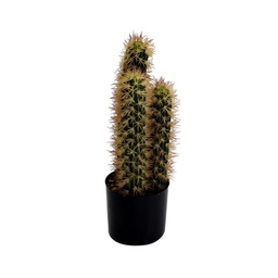 [S-V3628800000] Pianta di cactus con vaso tondo ø13x42 cm