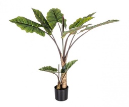 [S-B0172561] Pianta Decorativa con 10 Foglie Dieffenbachia - Ø100 cm x 134 cm