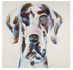 [S-V9181670000] Quadro Cane - 80x80 cm