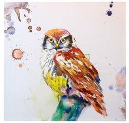 [S-V9174870000] Quadro gufo cm. 80 x 80